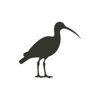 ibis pájaro icono en blanco antecedentes - sencillo vector ilustración