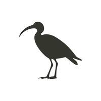 ibis pájaro icono en blanco antecedentes - sencillo vector ilustración