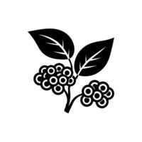 Elderberry icon isolated on white background vector