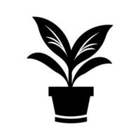 Dumb Cane plant Icon - Simple Vector Illustration