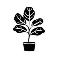 Fiddle Leaf Fig plant Icon - Simple Vector Illustration