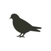 Pigeon Icon on White Background - Simple Vector Illustration