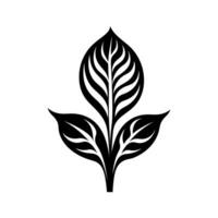 Calathea Roseopicta plant Icon - Simple Vector Illustration