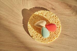 A set of different sponges. small colored ones and a large natural sponge. photo