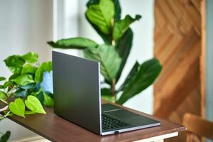 Laptop on a wooden table against of plants. photo