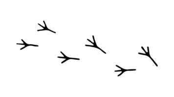 Footprints of a Bird. Editable Doodle hand drawn minimalistic icons. Tracks of Birds on the ground vector