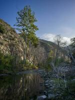 Morning in the San Gabriel mountains photo