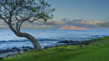 tarde colores desde sur maui foto