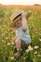 un pequeño rubio chico en un Paja sombrero es sentado en el césped en un manzanilla campo. el concepto de caminando en naturaleza, libertad y un ambientalmente simpático estilo de vida. foto