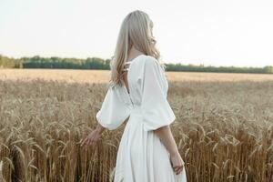 A blonde woman in a long white dress walks in a wheat field. The concept of a wedding and walking in nature. photo