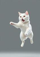 Jumping Cat Isolated On A White Background. AI Generated photo