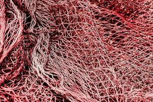 a close up of a red net photo