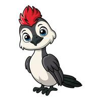 Cute woodpecker cartoon on white background vector