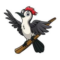 Cute woodpecker cartoon on white background vector