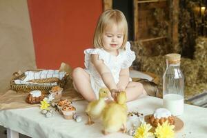 un pequeño niña es sentado en el Pascua de Resurrección mesa y jugando con linda mullido patitos el concepto de celebrando contento Pascua de Resurrección. foto