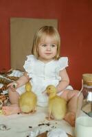 A little girl is sitting on the Easter table and playing with cute fluffy ducklings. The concept of celebrating happy Easter. photo