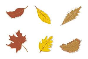 Autumn leaves collection flat vector