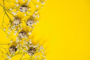 Easter background, quail eggs on a yellow background, decorated with natural botanical elements, flat lay, view from above photo