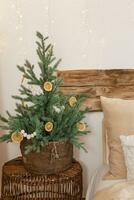 Cozy interior decorated for Christmas in Scandinavian style. Live fir trees decorated with natural ornaments made of dried oranges photo