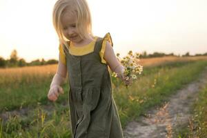 A little blonde girl is sitting walking on a chamomile field and collecting a bouquet of flowers. photo