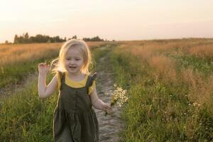 A little blonde girl is sitting walking on a chamomile field and collecting a bouquet of flowers. photo