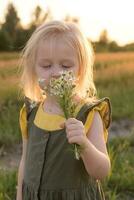 un pequeño rubia niña es sentado caminando en un manzanilla campo y coleccionar un ramo de flores de flores foto