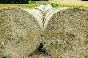 two bales of hay are sitting in a field photo