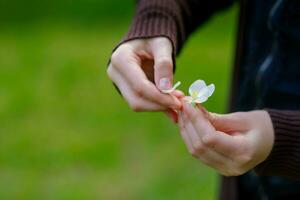 Beautiful girl among cherry flowers in spring. Portrait of a girl with brown hair and green eyes. photo