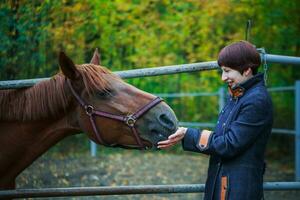 A woman feeds from the hands of a bay horse. The horse looks out from behind the bars that protect the enclosure. photo