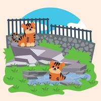 Pair of cute tigers on an open zoo Vector illustration