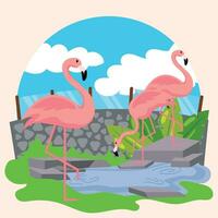 Group of cute flamingos on an open zoo Vector illustration