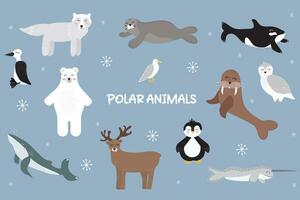 Vector illustration of cute polar animals, seabirds and mammals. Big set of wild arctic animals. Whale, narwhal, walrus, polar owl, polar bear. Arctic deer. Vector illustration in flat style. Banner