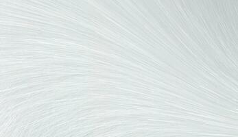 White Abstract Background Vector Illustration.
