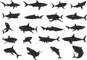 Shark silhouette, Shark silhouettes, Shark icon set, Shark clipart, Shark vector illustration