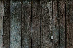 Wooden fence with boards with peeling paint photo