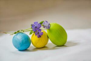 flower vinca near the green Easter egg. Easter background. photo