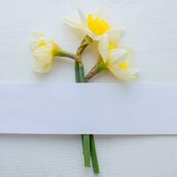 daffodils on white wooden background. Spring floral border, beautiful fresh yellow flowers. Flat lay. Narrow Paper Strip for copy space. Top view. Easter, 8 march, mother's day, spring background. photo