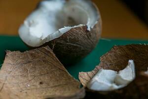 ugly organic broken rotten coconut. peel and white insides of a moldy coconut. Spoiled foods. photo