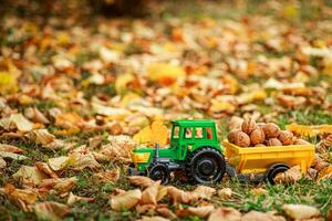 verde tractor lleva nueces en el atrás. juguete tractor con un cosecha de maduro nueces otoño fotófono. foto