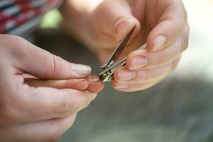 Ugly the child's dirty nails. Mom cuts off the baby's long nails with nail tongs. photo