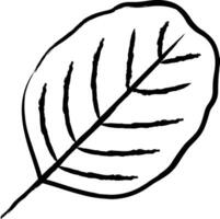 Alder Leaf hand drawn vector illustration