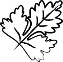 Leaf hand drawn vector illustration