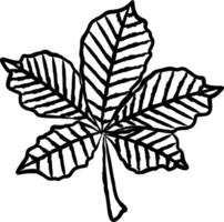 Chestnut Leaf hand drawn vector illustration