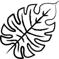 Leaf hand drawn vector illustration