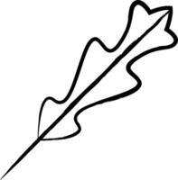 Arugula Leaf hand drawn vector illustration