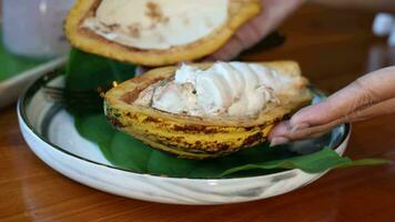 cacao fruit in hand. dichtbij omhoog video