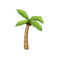 branch palm coconut cartoon vector illustration