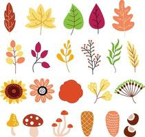 ilustración vectorial de hojas de otoño vector