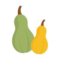 Green and yellow pumpkins. Thanksgiving pumpkins collection. Trendy decorative vector illustration.