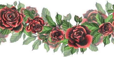 Redblack rose flowers with green leaves and buds, chic, bright, beautiful. Hand drawn watercolor illustration. Seamless border a white background, for decoration and design vector